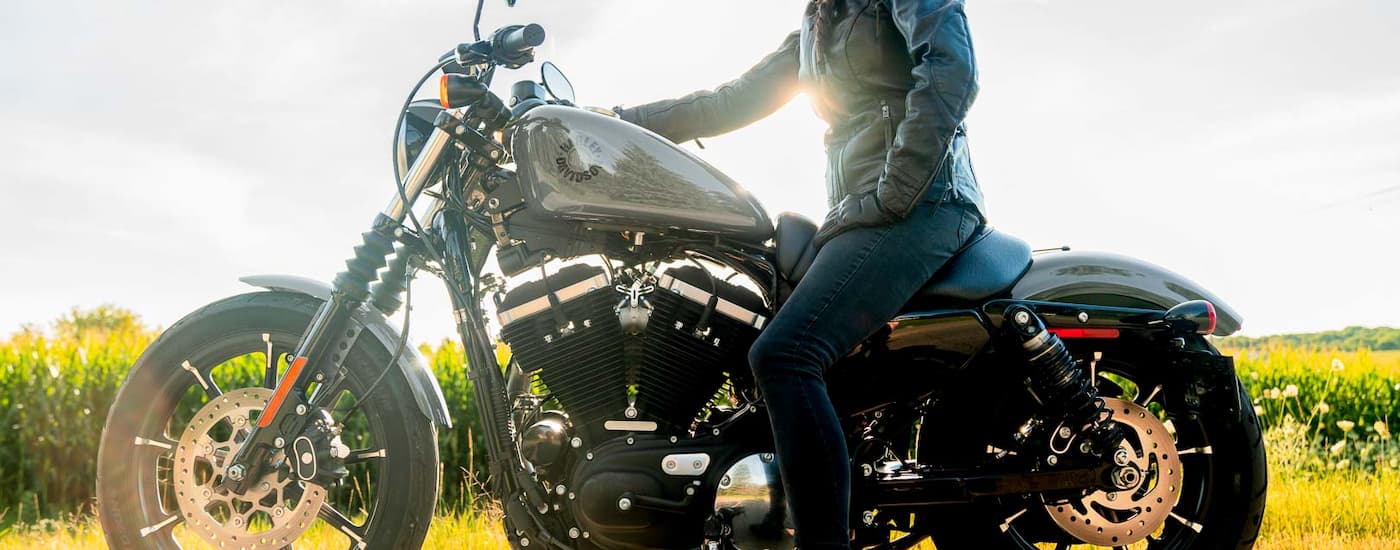 A dark grey 2022 Harley-Davidson Iron 883 is shown from the side parked in front of a field.
